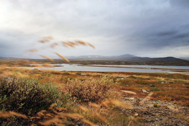 Regeringen bör överväga sekundär utvinning av uran